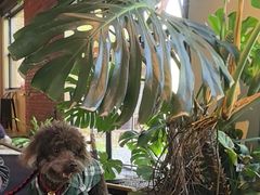 -J Create城市露营咖啡·简餐·宠物(上海动物园店)