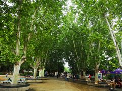 -祥源·阜阳生态乐园