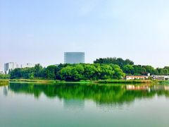 -大兴滨河森林公园