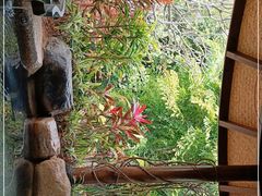 -厦门日月谷温泉渡假村