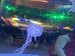 -横店影视城梦幻谷园区