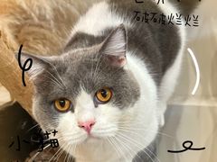 -seeu coffee(江滩店)