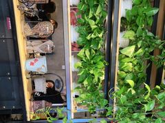 -管氏翅吧(护国寺店)