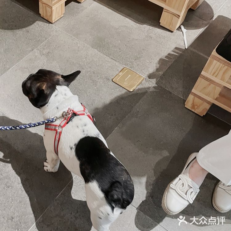 深圳新店Morse coffee3.0🔹街头咖啡馆✨复古蓝