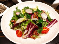 鲜蔬大拌菜-旺顺阁·北京菜·烤鸭(大望路店)