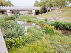 -羊山湖公园