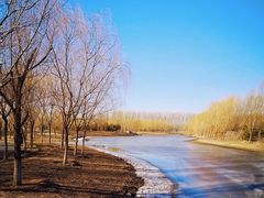 -东郊湿地公园