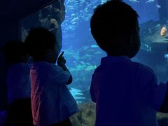 -海合安武汉极地海洋公园