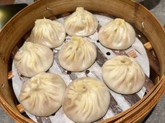 -莱莱小笼·乔艾