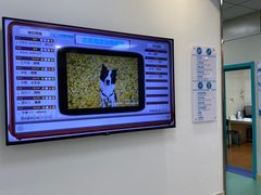 -北京观赏动物医院·24小时大型综合·猫专科·异宠专科