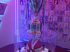 -翼速篮球·少儿篮球培训·中考体育(贵和店·原鲁能城店)