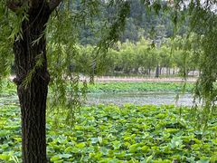 -南戴河国际娱乐中心