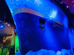 -珠海横琴国家地理探险家中心(创新方)