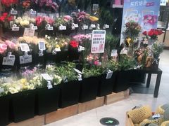 -盒马鲜生(莱蒙都会店)