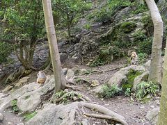 -黔灵山公园