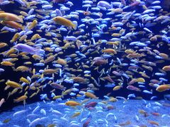 -成都浩海立方海洋公园