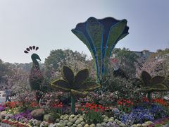 -南山植物园