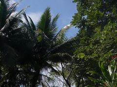 -海南清水湾莱佛士酒店