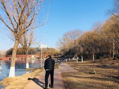 -丁香湖公园