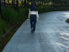 -春花秋色城市公园