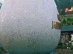 -100蛋泥浆浴