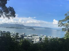 -大埔公路-马料水段香港中文大学(公交站)