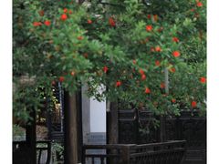 -老门东历史文化街区