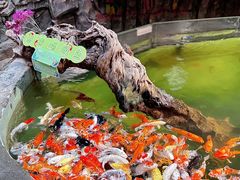 -正佳雨林生态植物园