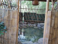 -咸宁万豪温泉谷度假区