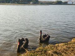 -琅岐红光湖公园