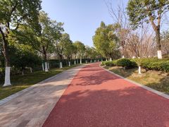 -潜龙渠公园