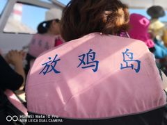 -放鸡岛生态旅游国际度假区