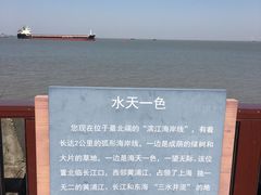 -上海滨江森林公园