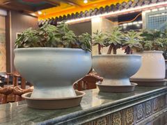 -老三羊汤【北兴隆街店】