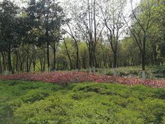-重庆彩云湖湿地公园