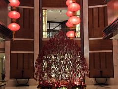 -深圳星河丽思卡尔顿酒店