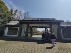 -上海海湾国家森林公园