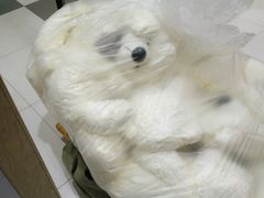 -嘉百乐(新东街店)