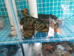 -聚德福海鲜家常菜(刘庄店)