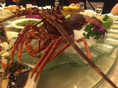 -东方之珠海鲜酒楼(武清店)