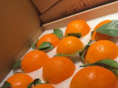 -台鄉缘 ·小海鲜·台州菜(桃林路店)