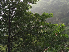 -崀山风景名胜区