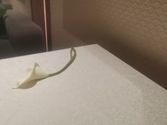 -苏州吴中希尔顿欢朋酒店