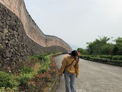 -黄贤森林公园