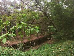 -人民公园(罗湖区)