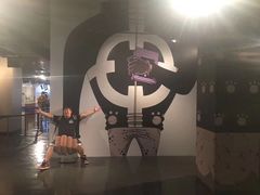 -东京塔海贼王主题公园