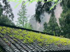 -雁荡山风景名胜区
