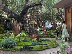 -Chom Cafe and Restaurant