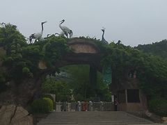 -东方熊牧场