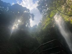 -莫里热带雨林景区